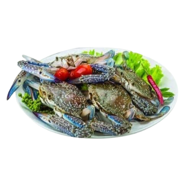 সামুদ্রিক ব্লুসান আস্তো ৪-৫ টায় কেজি